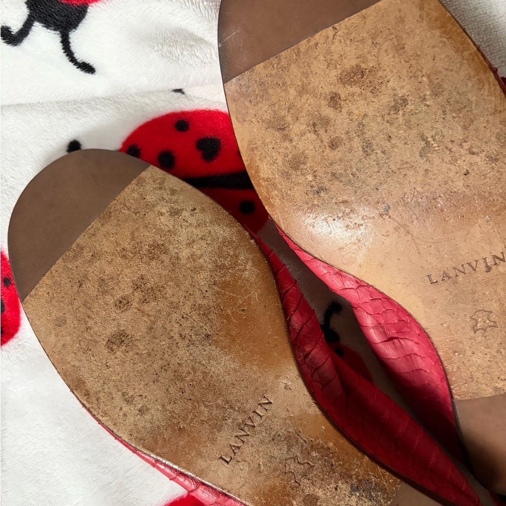 LANVIN Snakeskin Python Ballet Flats Leather - image 7